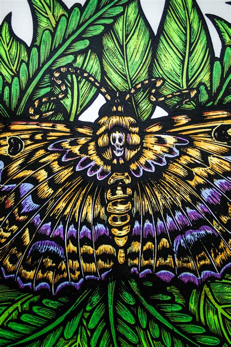 Black Witch Moth (Silkscreen Print) – Paradigm Gallery + Studio