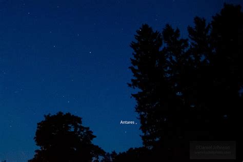 Meet Antares: The Star That Is Not Mars - Sky & Telescope - Sky & Telescope