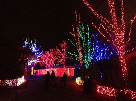 ZooLights at the Oregon Zoo - Mommy Travels