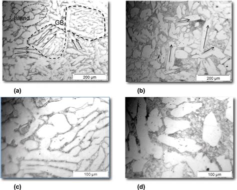 Typical microstructure arrays in different magnifications for brass... | Download Scientific Diagram