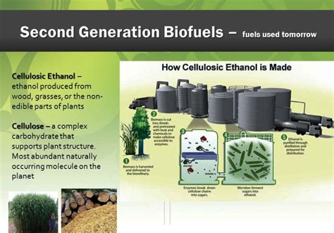 Biofuel: Types, Uses & Examples – StudiousGuy