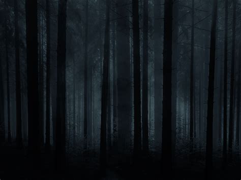 Creepy Forest Wallpaper