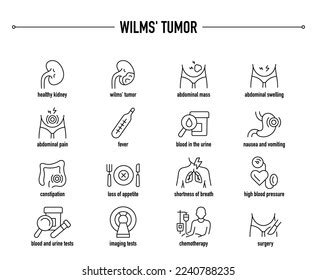 Wilms Tumor Symptoms Diagnostic Treatment Icon Stock Vector (Royalty Free) 2240788235 | Shutterstock