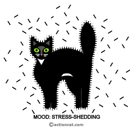 Stressed Cat Gif