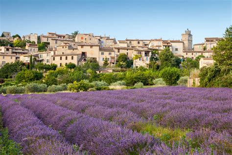 Best Lavender Fields in Provence, France [2021] - France Bucket List