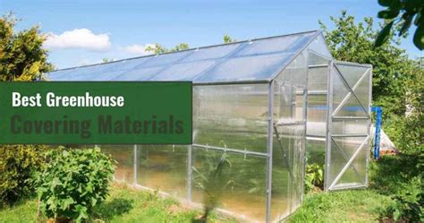 Best Greenhouse Covering Materials for DIY Greenhouses – Greenhouse Emporium