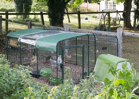 Walk in Chicken Run | Large Outdoor Chicken Enclosure