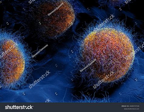 Intestinal Bacteria View Under Microscope 3d Stock Illustration ...