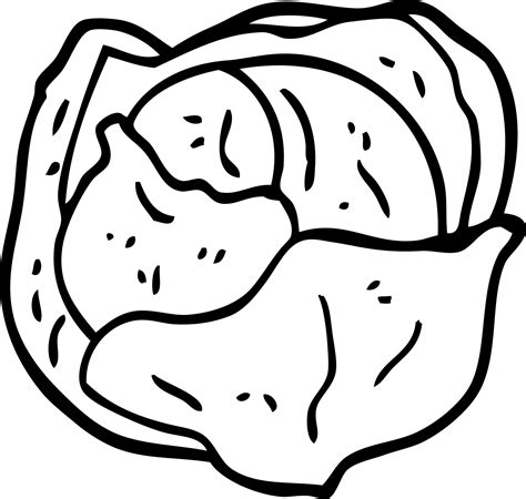 line drawing cartoon cabbage 12143574 Vector Art at Vecteezy