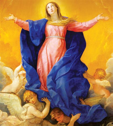 Solemnity of the Immaculate Conception