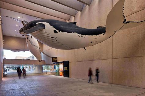 Whale Mall Queensland Museum | Venue Hire | The Fresh Collective