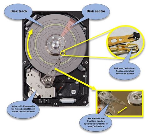 Hard disk drive labeled illustration | Computer hardware, Hard disk drive, Graphic card