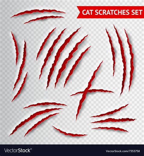 Cat scratches transparent Royalty Free Vector Image