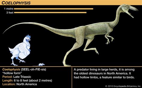 Triassic Period - Reptiles, Mammals, Evolution | Britannica