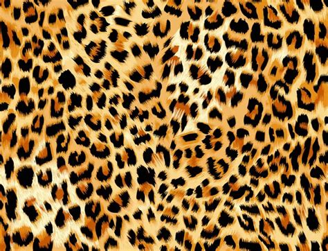 Leopard Spots — Stock Photo © mimagephotos #48412515