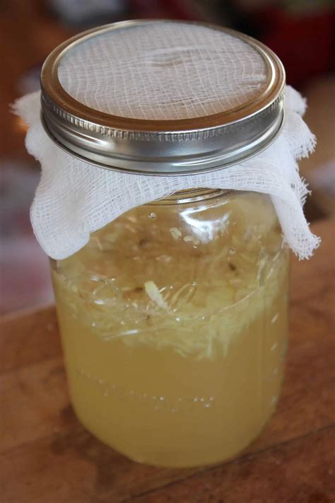 How to Make a Ginger Bug for Homemade Soda | Homestead Honey