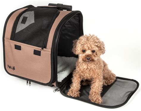 Tips for Choosing the Best Dog Carrier for Your Dog - FeedsPortal.com