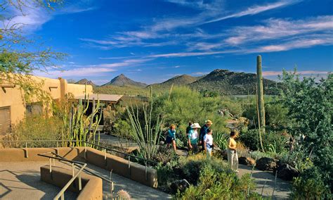 Arizona Sonora Desert Museum © Chuck Haney | Chuck Haney Outdoor ...