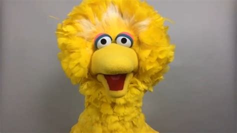 Big Bird talks about his guests on 'Sesame Street' and life during the pandemic in new special ...