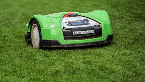 Best Mower for Stripes in 2021: With Pros & Cons