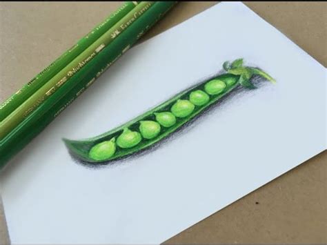 Pea Pod Drawing at PaintingValley.com | Explore collection of Pea Pod Drawing