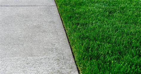 Lawn Edging [The Ultimate Guide for Lawn Edging Tools & Techniques ]