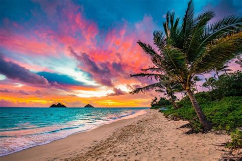 Skies of Lanikai (Lanikai, Kailua, Oahu Shoreline Sunset Palm) - Metallic Hawaii Photo Print ...