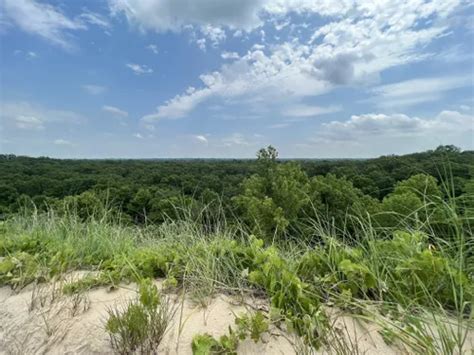 10 Best Hikes and Trails in Indiana Dunes State Park | AllTrails