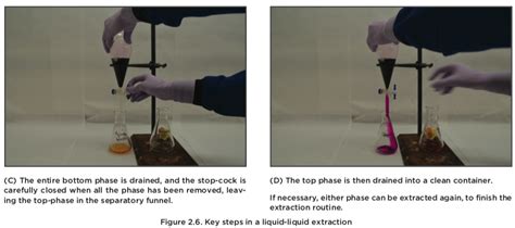 solid liquid extraction lab report - Emma Wright