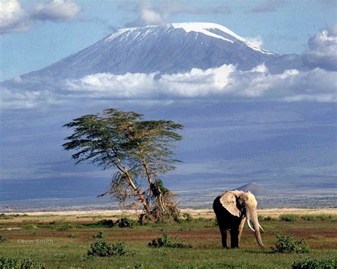 Tanzania safari destination travel deals Climbing Kilimanjaro adventures: Mount Kilimanjaro ...