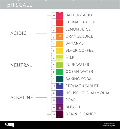 pH Value scale chart. Acid-base balance infographic. Education Poster ...