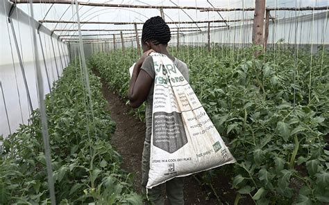 African farming | Good Governance Africa