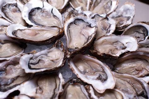 How to Tell If Oyster Is Fresh and Alive? – ItsFoodtastic