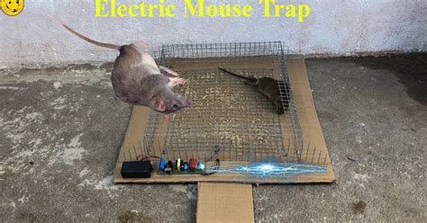 Wow Primitive Technology : Electric Mouse Trap/Best Trap Homemade Work With Battery 12V Easy ...