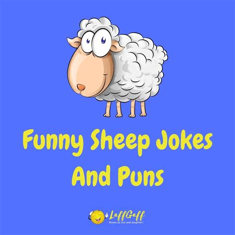 25+ Hilarious Sheep Jokes And Puns! | LaffGaff