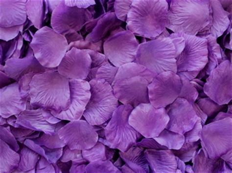 - Purple Aisle Rose Petals, 500ct #s5-purple