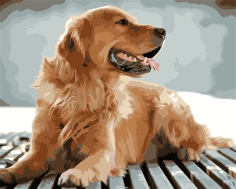 Paint by number your dog Custom paint by numbers - Numeral Paint Kit