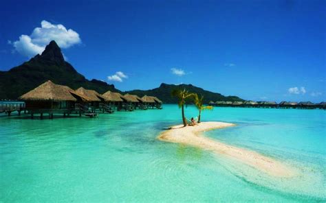 Amazing JPG: bora-bora gulf huts bungalow palm trees