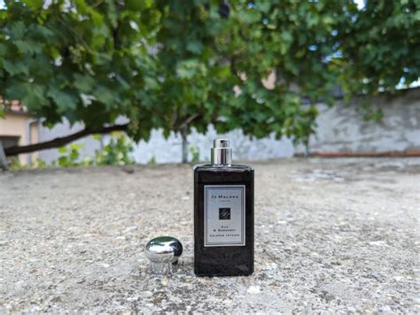 Jo Malone Oud & Bergamot Cologne Intense Review (2024) - Scent Grail