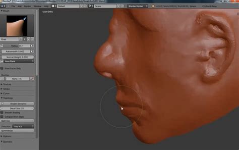 What is 3D Digital Sculpting?