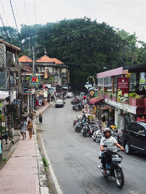 Ubud Monkey Forest Bali: Things To Know Before You Go | Almost Landing - Bali