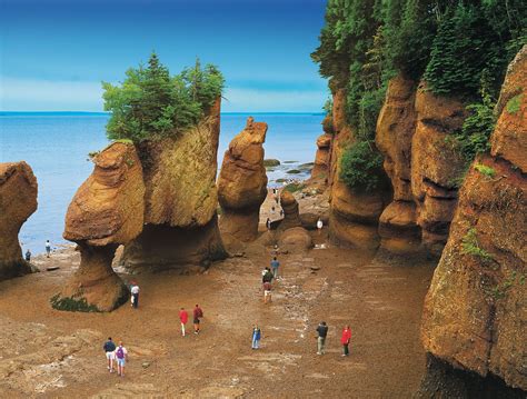 Bay of Fundy, Canada | Beautiful Photos and Information | Canada travel, Fundy national park ...