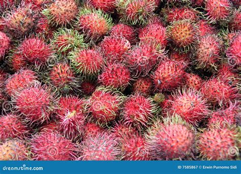 Rambutan Fruit Royalty Free Stock Photography - Image: 7585867