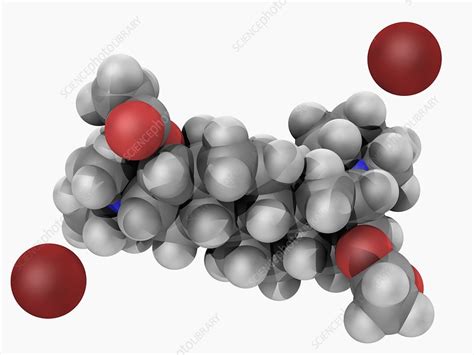 Pancuronium bromide drug molecule - Stock Image - F004/7261 - Science Photo Library