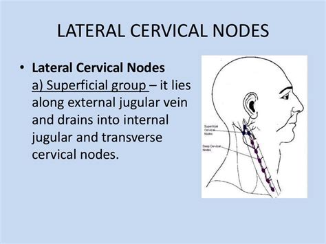 Cervical Lymphadenopathy Symptoms