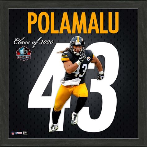 Update more than 71 troy polamalu wallpaper super hot - in.cdgdbentre