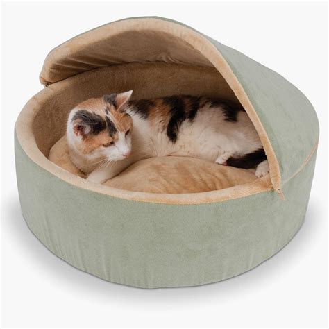 Frolicking Feline: Cat Beds