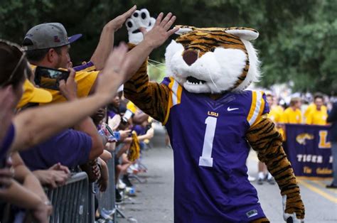 Suit Up: The students behind LSU’s iconic mascot | Legacy | lsureveille.com