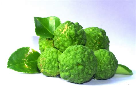 Bergamot Fruit Free Stock Photo - Public Domain Pictures