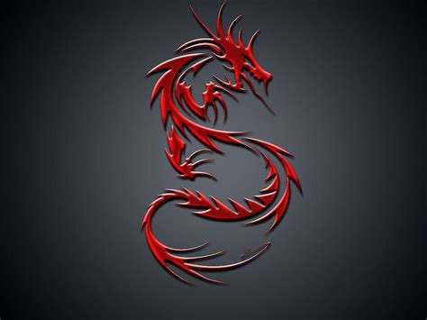 Welsh dragon tattoo ideas photos